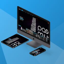 Réalisation PASA Musik WordPress, SEO